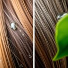 Włosy suche i matowe: najczęstsze przyczyny oraz skuteczne metody pielęgnacji i ochrony