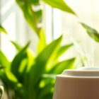 Wilgotność powietrza a skóra: jak uniknąć przesuszenia i zadbać o barierę ochronną w sezonie