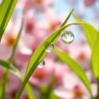 Pielęgnacja skóry wiosną: jak odbudować barierę i ochronić skórę po zimie