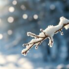 Krem ochronny na mróz: jak wybrać i stosować, by skutecznie chronić skórę zimą