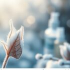 Zimowy makijaż dla suchej skóry: jak nawilżyć i chronić cerę przed przesuszeniem w mroźne dni